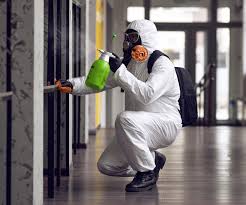 Best Commercial Mold Inspection  in Campbell, FL